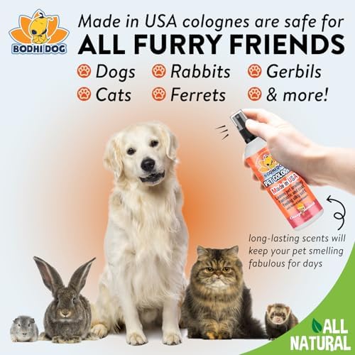 Bodhi Dog Premium Dog Cologne - Deodorizing Dog Perfume & Conditioner for Dogs & Cats - Natural Long Lasting Spray for Pets - Gentle & Safe Formula, Made in USA (Orange Sherbert 8 Fl Oz) - Image 5