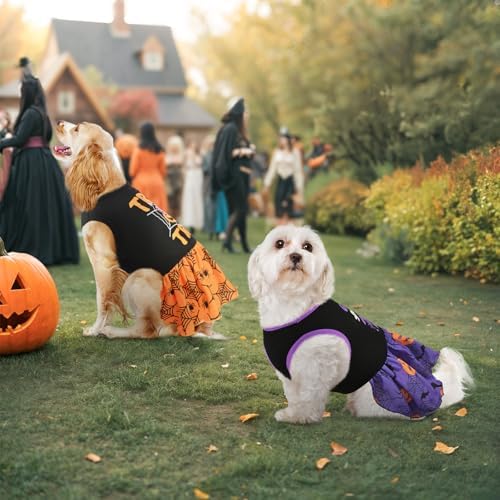2-Pack Halloween Dog Dress Pet Dresses Skirts with Spider Pumpkin Patterns for Puppies Cats Dog Halloween Costume Outfit Apparel Clothes for Small Medium Dogs Kittens XS - Image 6