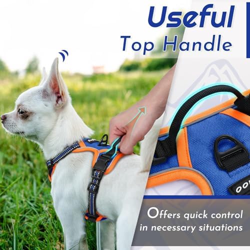 Eagloo Dog Harness for Small Dogs, No Pull Pet Vest with 2 Leash Clips - Image 5
