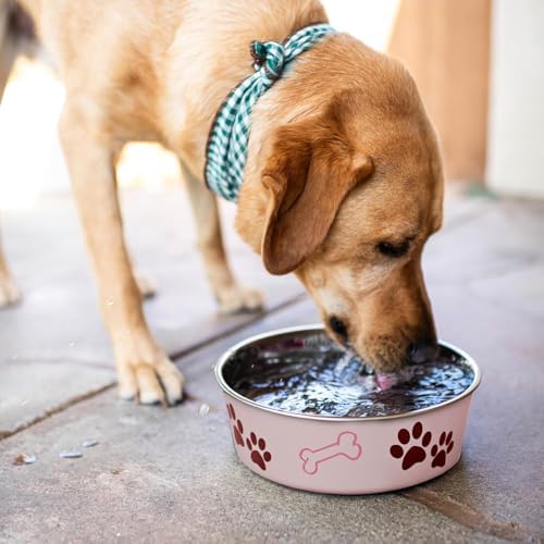 Loving Pets Bella Dog Bowls- Stainless Steel Dog & Cat Bowls - Spill Proof Dog Food Bowl, Cat Bowl, Puppy Essentials & Pet Supplies Great for Home & Travel (Medium 20-35 lbs, Paparazzi Pink) - Image 5