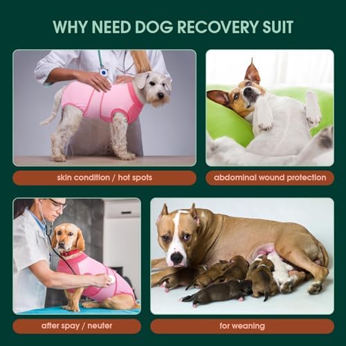 Kuoser Dog Recovery Suit, Female Male Spay Neuter Surgery Suit, Pink, XXL - Image 2