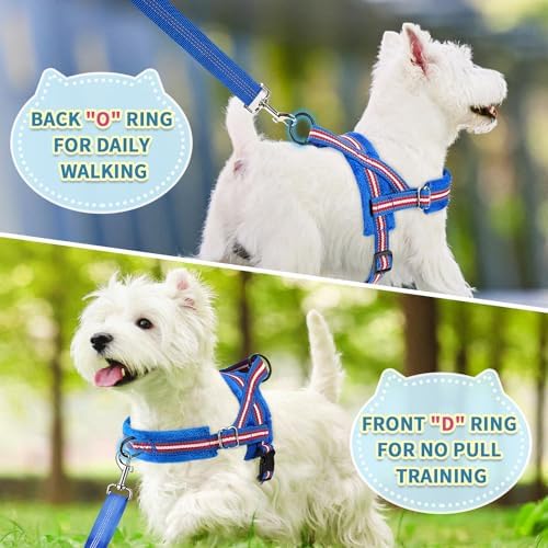 SlowTon No Pull Small Dog Harness and Leash Set with Front Clip - Image 4