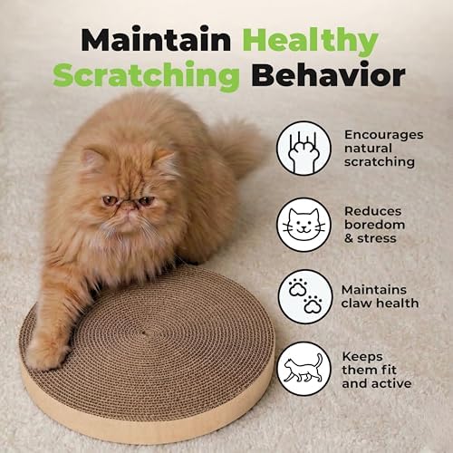Catify Spin n' Scratch Cat Scratch Pad Refill - Round, 3-Pack - Image 6