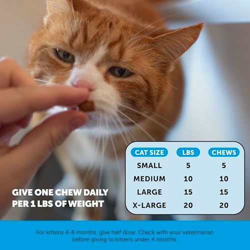 Pet Honesty Vet Backed Skin & Coat Cat Vitamins, Chicken, 90-Day Supply - Image 6