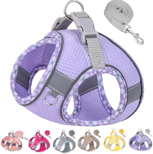 Petank Step in Dog Harness No Pull and Leash for Small Medium Dogs Cats. by PetankCareforEveryPaw