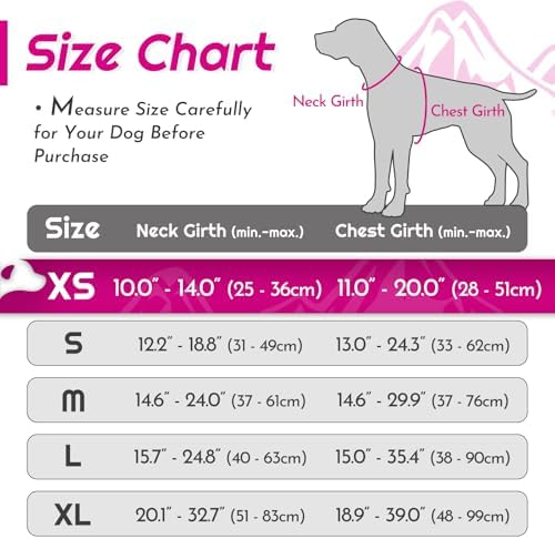 Eagloo Dog Harness for Small Dogs, No Pull Pet Vest with 2 Leash Clips - Image 2