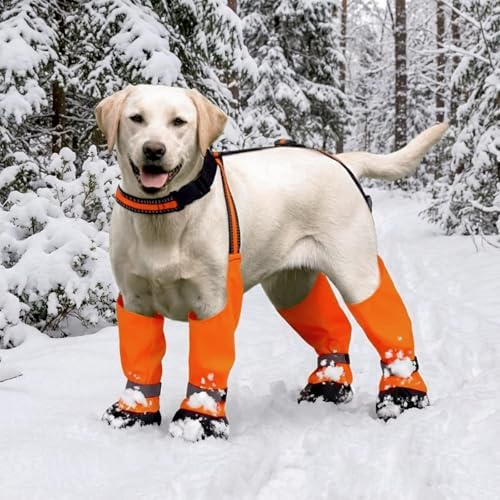 Dog Suspender Boots, Anti-Slip & Fall Waterproof Dog Shoes Leggings, Dog Paw Protector for Small Medium Dogs, Adjustable Dog Boots Pet Shoes for Outdoor Walking - Image 5