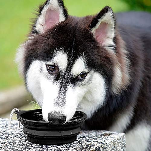 Kytely Large Collapsible Dog Bowls 2 Pack, 34oz Foldable Dog Travel Bowl - Image 5