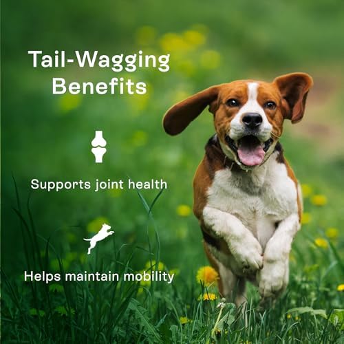 PawCo Dog Food Toppers for Picky Eaters, Hip & Joint – Supports Mobility & Joint Health – Functional Dog Food Flavor Enhancer with Omega-3, Pumpkin & Carrots – Magic Topper – 5.6oz - Image 2
