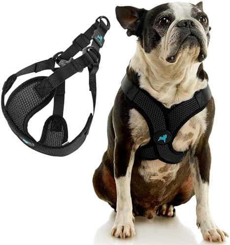 Gooby Comfort X Step-in Lite Harness, Choke-Free, Black, Small - Image 3