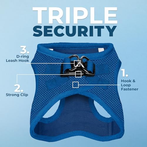 Best Pet Supplies Voyager Step-in Air All Weather Mesh Harness and Reflective Dog 5ft Leash Combo with Neoprene Handle, for Small, Medium and Large Breed Puppies - Royal Blue, X-Small - Image 2