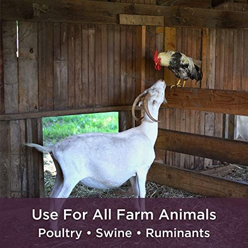 Dr. Connie's Livestock Probiotic + Electrolyte Powder for Animals - Image 5
