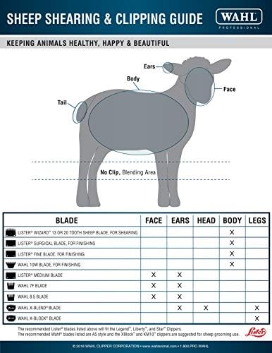 Wahl Professional Animal X-Blend Cattle Competition Blending Blade (#2450-100), Steel - Image 4
