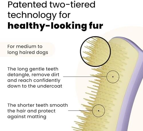 Pet Teezer Detangling Dog Brush for Light Shedding, Small, Lilac & Yellow - Image 2