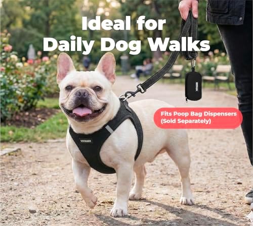 Best Pet Supplies Voyager Nylon Dog Leash - 6ft Black, Large - Image 3