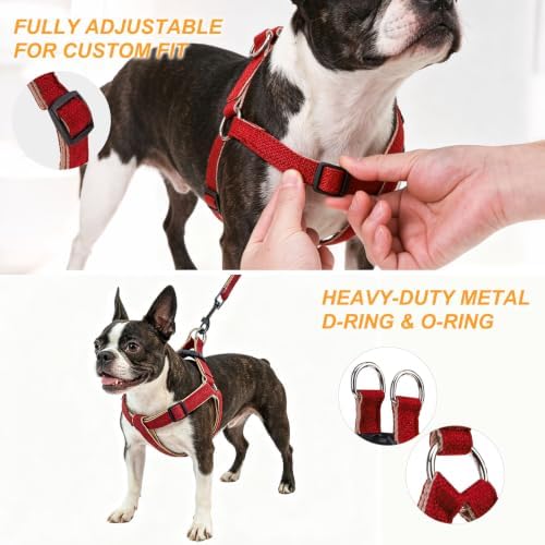 BEAUTYZOO Adjustable No Pull Dog Harness and Leash Set - Image 5