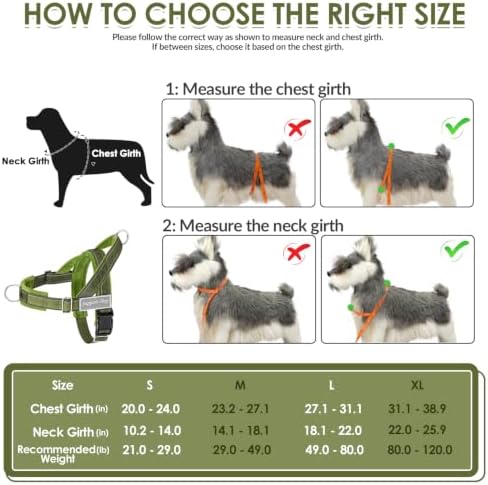SlowTon No Pull Dog Harness and Leash Set - Heavy Duty, Soft Padded - Image 6