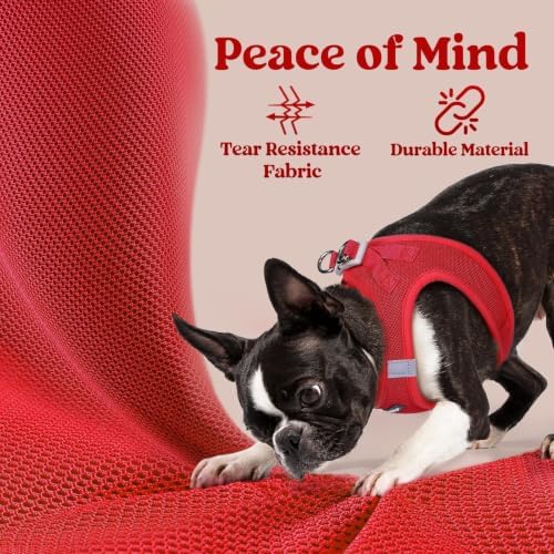 rabbitgoo Step-in Small Dog Harness, Puppy Vest for Small Sized Pet - Image 4