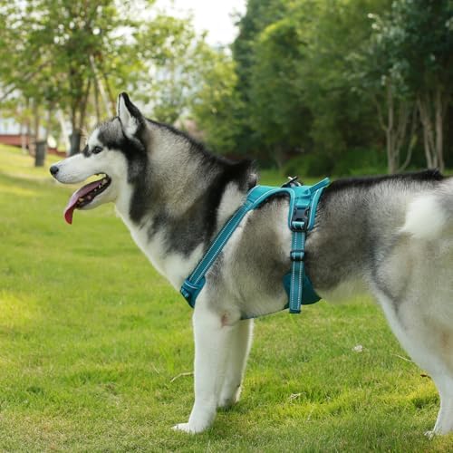 Voyager Dog Harness Dual Leash Attachment No-Pull Control Adjustable Soft but Strong Pet Harness for Medium and Large Dogs with 3M Reflective Technology, Leash Set Turquoise Nylon, S (Chest: 16-20") - Image 6