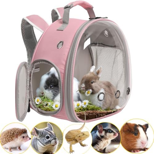 Hamster Backpack Carrier, Bearded Dragon Carrier Backpack with Clear Bubble Window,Small Animal Travel Backpack for Hedgehog Rat,Chameleon,Rabbit,Sugar Glider,Airline Approved (Pink, Backpack) by WEVONIGU