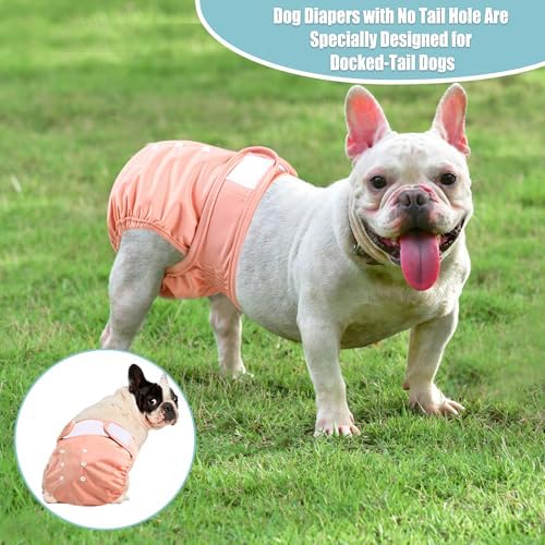 wegreeco Frenchie Dog Diapers Female No Tail Hole, Washable Pet French Puppy Bulldog Diapers Female for Period Heat, Reusable Doggy Doggie Dog Diapers （X-Large） - Image 2