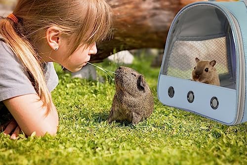 Guinea Pig Carrier Backpack, Clear Bubble Window Backpack for Guinea Pig, Bunny Rat Bird (Blue, Carrier) - Image 6