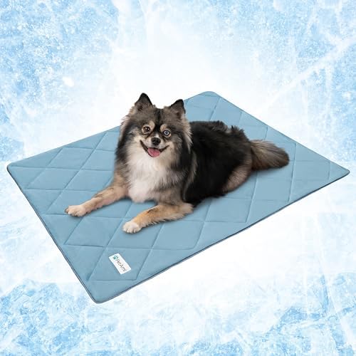 PetAmi Cooling Dog Blanket Lightweight Soft for Small Pet Cat, 24x32 Blue by PetAmi