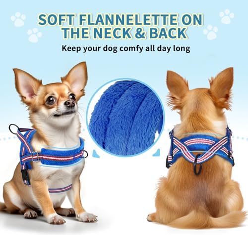 SlowTon No Pull Small Dog Harness and Leash Set with Front Clip - Image 2