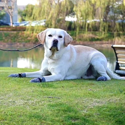 KOOLTAIL Dog Socks for Hot/Cold Pavement to Prevent Licking Paws,Dog Boots&Paw Protector for Hardwood Floors Anti Slip,Traction Control No Twist Grip Booties for Small Medium Large Senior Dogs S - Image 2