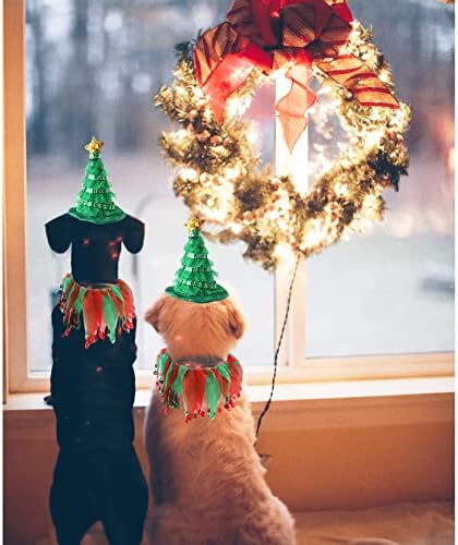 Cat Christmas Costume Suit, Hmxpls Small Dogs & Cats Tutu Collar and Green Shiny Hat Cute Costume Suit Kitten Outfit Clothing for Birthday Party Thanksgiving Christmas Holiday - Image 5