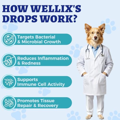 Wellix 120ml Natural Antibiotics for Cats & Dogs, Wound Care & Cold Relief - Image 5