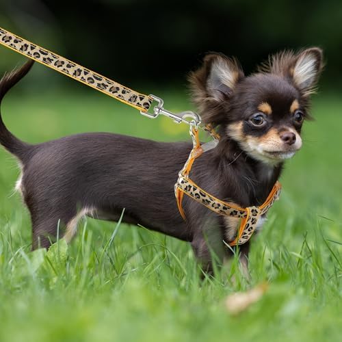 Mile High Life Leopard Dog Harness Collar Leash Set, Adjustable No Pull Dog Halter Harness for Small Breed Dogs, Easy Control for Training Walking (Yellow, M Chest 15"-21", Neck 13"-17") - Image 7