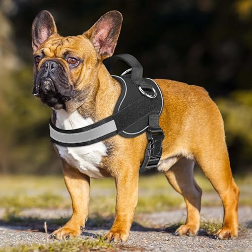Haapaw Essential Dog Harness, No Pull Pet Vest with 3 Leash Clips, No Choke, Reflective, Adjustable and Padded, for Easy Walking and Training for Small Dogs(S, Black) - Image 3