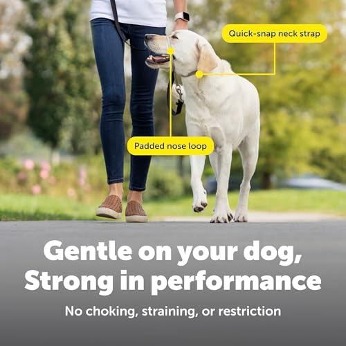 PetSafe Gentle Leader No-Pull Dog Headcollar - The Ultimate Solution to Pulling - Redirects Your Dog's Pulling for Easier Walks - Helps You Regain Control - Small, Apple Green - Image 4