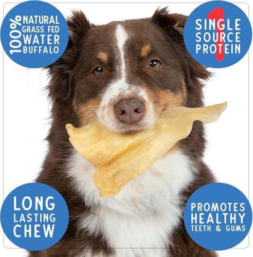 Pet Craft Supply Water Buffalo Ears Dog Chews, Aggressive Chewers, 32 Pack - Image 2