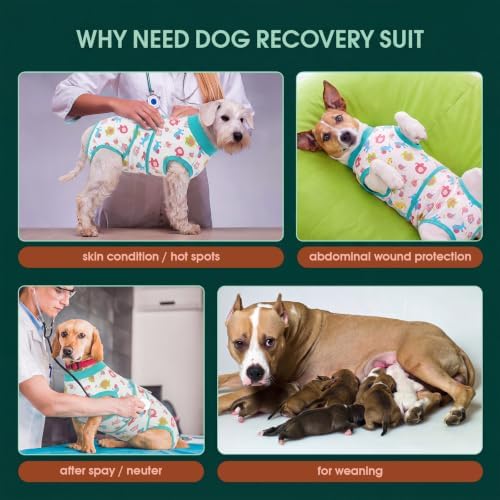 Kuoser Dog Recovery Suit, Female Male Spay Neuter Surgery Suit, Elephant,XL - Image 2