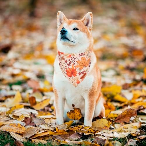ADOGGYGO Fall Dog Bandana, Pumpkin Maple Leaf Fall Bandana for Dog, Large - Image 2