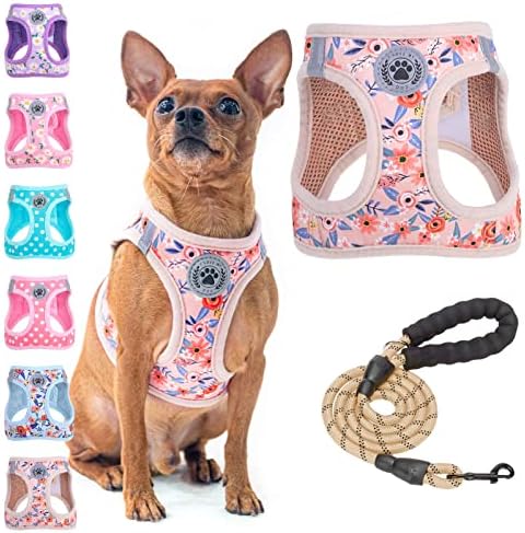 BEAUTYZOO Small Dog Harness and Leash Set,No Pull Puppy Pet Vest- Floral, S by BEAUTYZOO