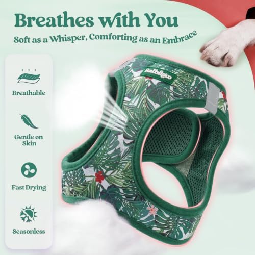 rabbitgoo Dog Harness Small Sized and Leash Set, Step-in Puppy Pet Vest - Image 4