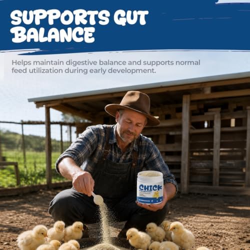 Chick Probiotic Powder with Vitamins & Electrolytes, Gut Balance & Growth - Image 3