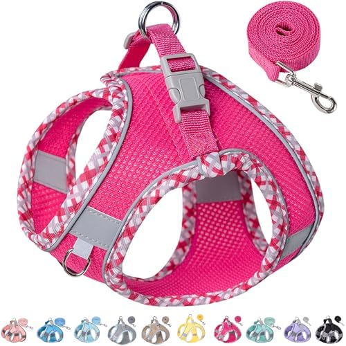 Petank Step in Dog Harness No Pull and Leash for Small Medium Dogs Cats. by PetankCareforEveryPaw