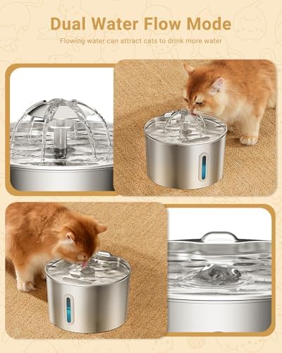 Cat Water Fountain Stainless Steel - 74oz/2.2L Automatic Large Pet Watering Bowl Dispenser for Indoor Cats - Drinking Fountains with 6 Filter, Gifts for Dogs and Kitty - Dog Waterer Bowls No Spill - Image 3