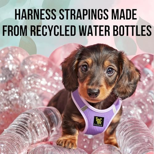 EcoBark Step in Dog Harness, Reflective & Adjustable Body Halter Vest, XL - Image 4