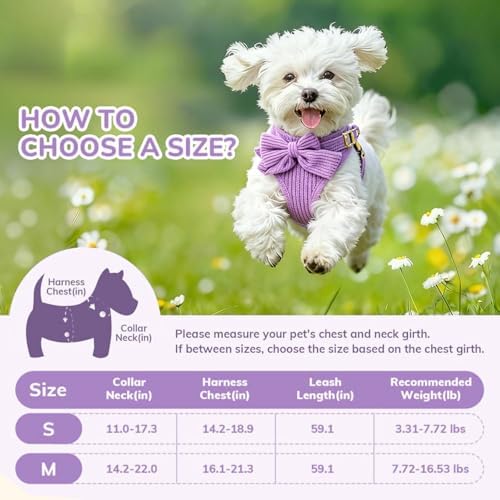 Small Dog Collar Harness and Leash Set with Bowtie, Adjustable Dog Harness Collar and Leash Set with Secure Metal Buckle, Breathable Cotton Adjustable Pet Puppy Harness, Easy Walk Harness, M(16-21") - Image 2