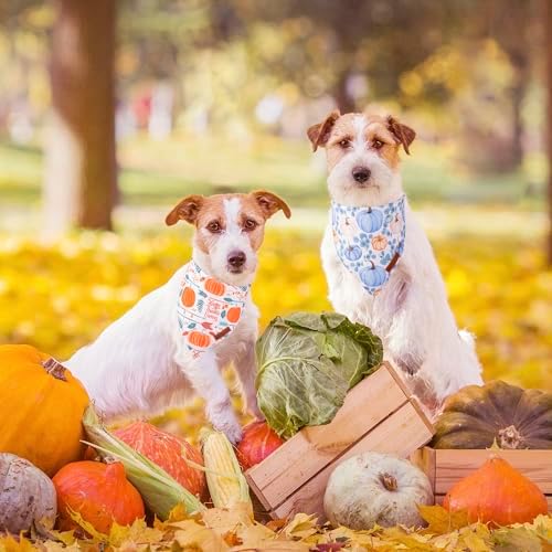 ADOGGYGO Thanksgiving Dog Bandana, Fall Pumpkin Dog Scarf, Small - Image 2