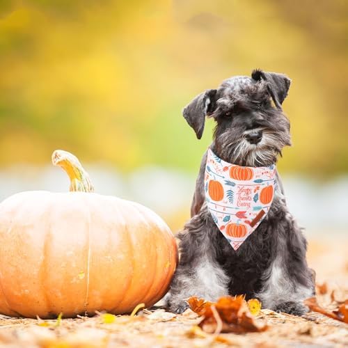 ADOGGYGO Thanksgiving Dog Bandana, Fall Pumpkin Dog Scarf, Small - Image 3