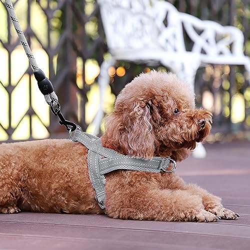 Plutus Pet No Pull Dog Harness with Front Clip, Breathable Mesh Padded - Image 5