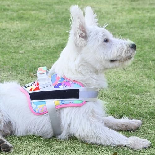 Bolux Dog Harness, No-Pull Reflective Dog Vest, Breathable Adjustable Pet Harness with Handle for Outdoor Walking - No More Pulling, Tugging or Choking (Medium (Pack of 1), OilPainting) - Image 5