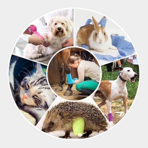WePet Pet Wrap, Self-Adhesive, Only Sticks to Itself, Non-Woven Tape for Dog Legs, Paws, Wounds, First Aid Cohesive Gauze for Horse, Cat, Bird, Animal, 6 Rolls, 2 Inch, Solid Color - Image 5