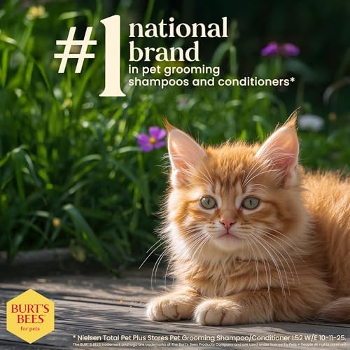 Burts Bees for Pets Kitten Grooming Wipes with Buttermilk, 50 Count, 6-Pack - Image 6